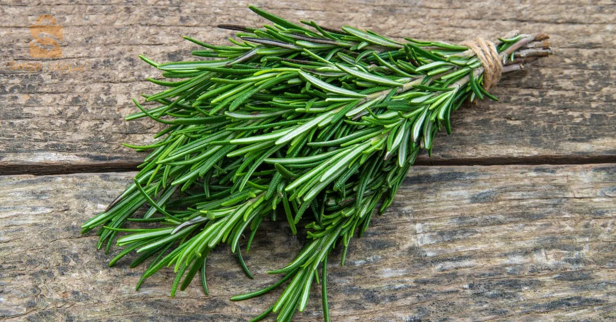اعشاب طبيعية و توابل