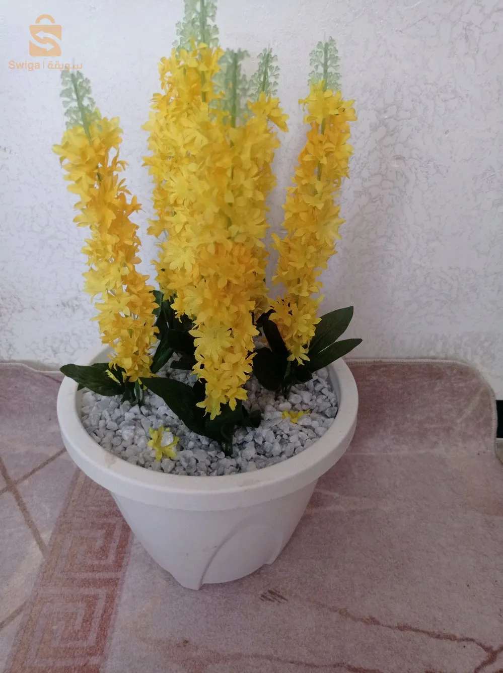 ورود للزينة