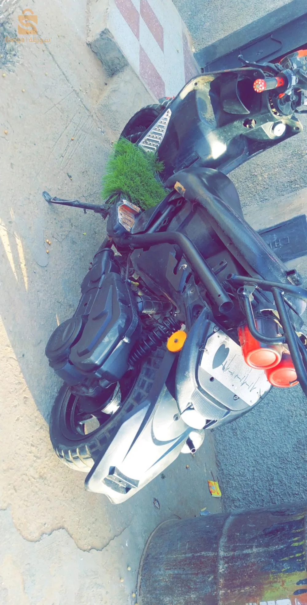 للبيع
