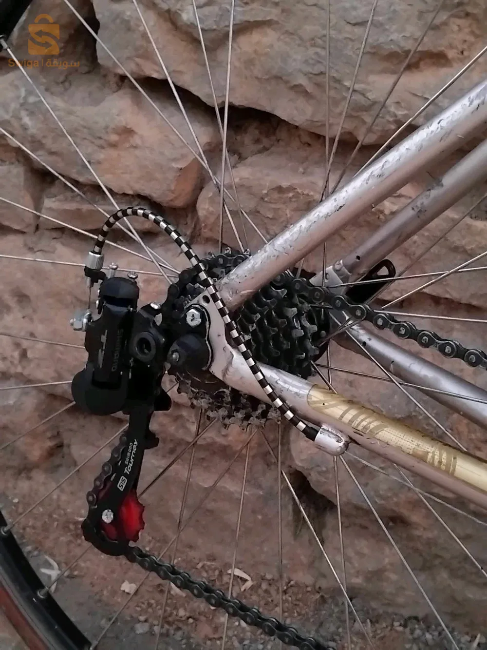 دراجة   ما شاء الله cours Bitwin