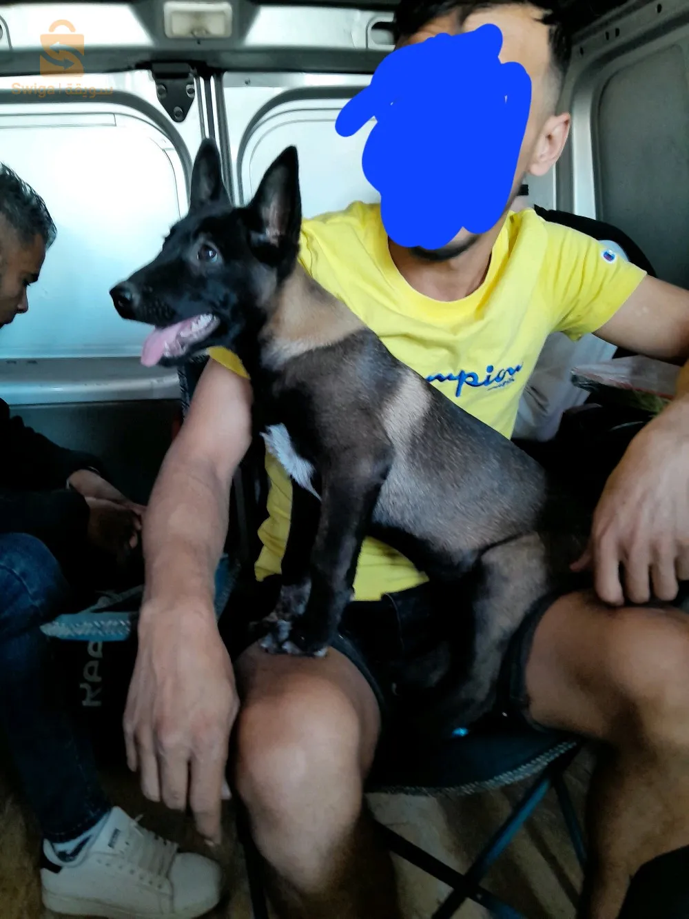 0793418291
