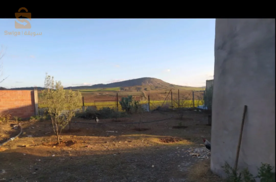 منزل للبيع ولاية أليويرة بالضبط عين بسام