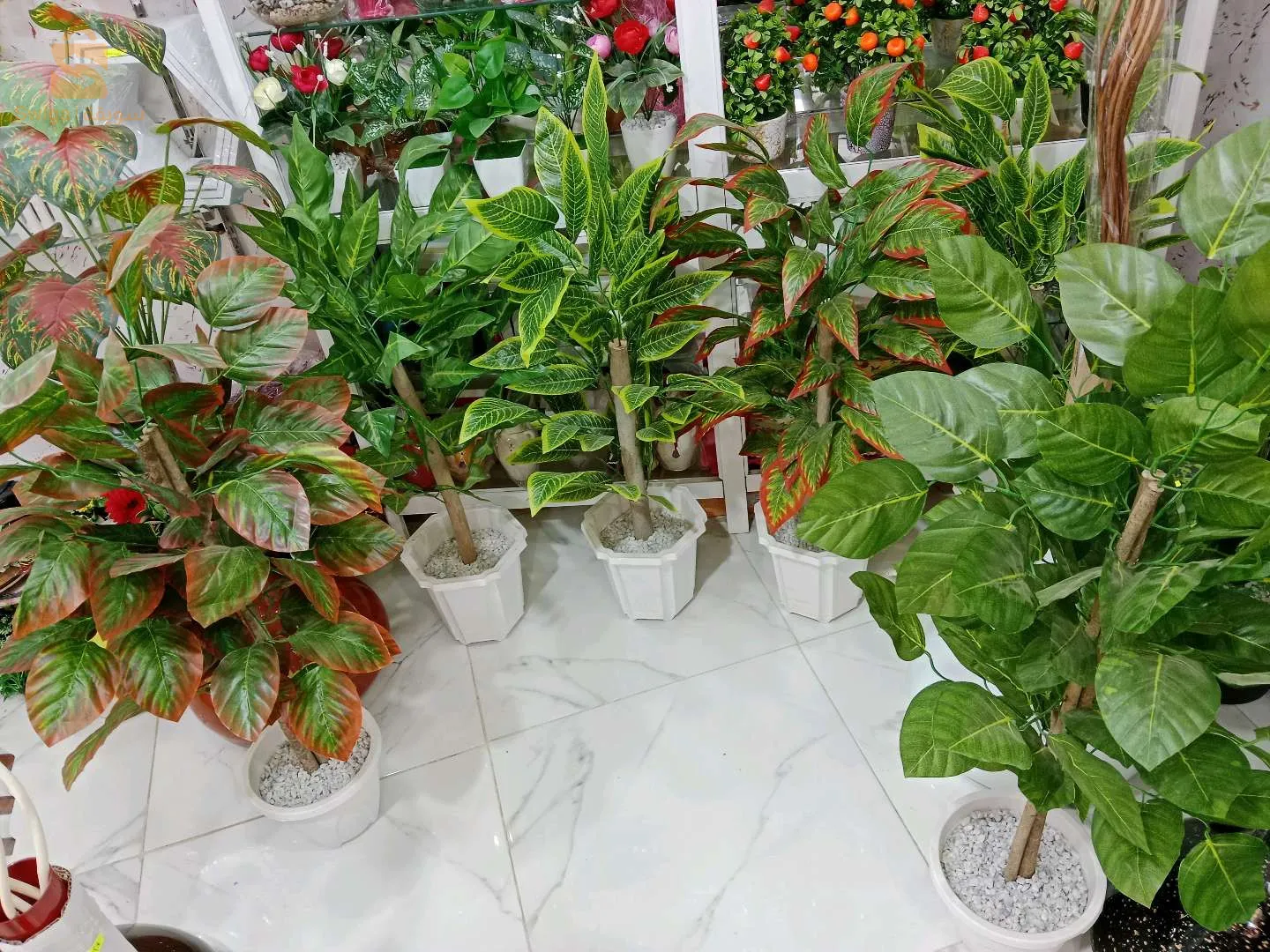 أشجار الزينة الإصطناعية و ورد المناسبات (خطوبة،تخرج.....) متوفرة جملة وديطاي