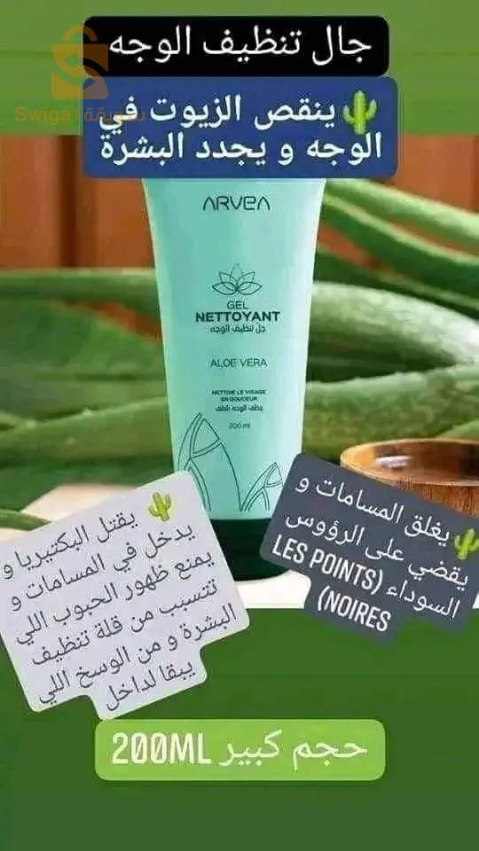 سبود تلمسان