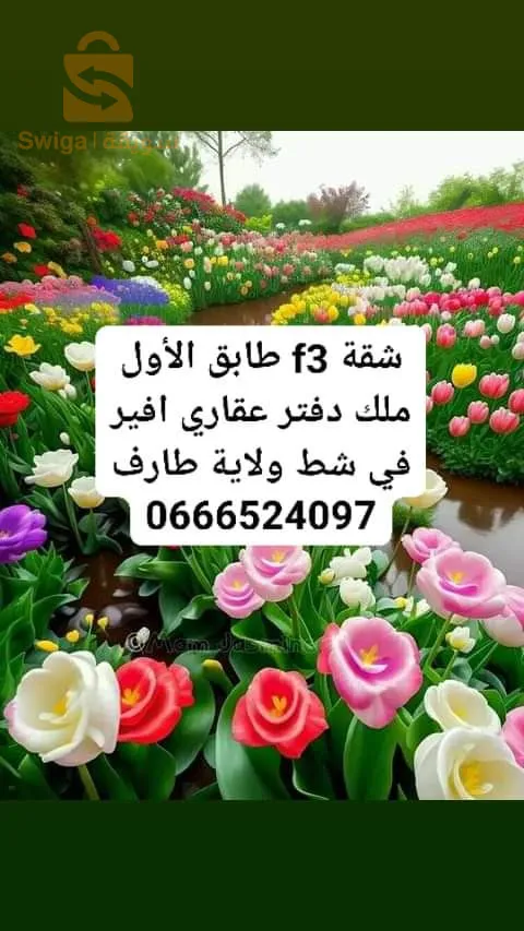 حي القرعة شط