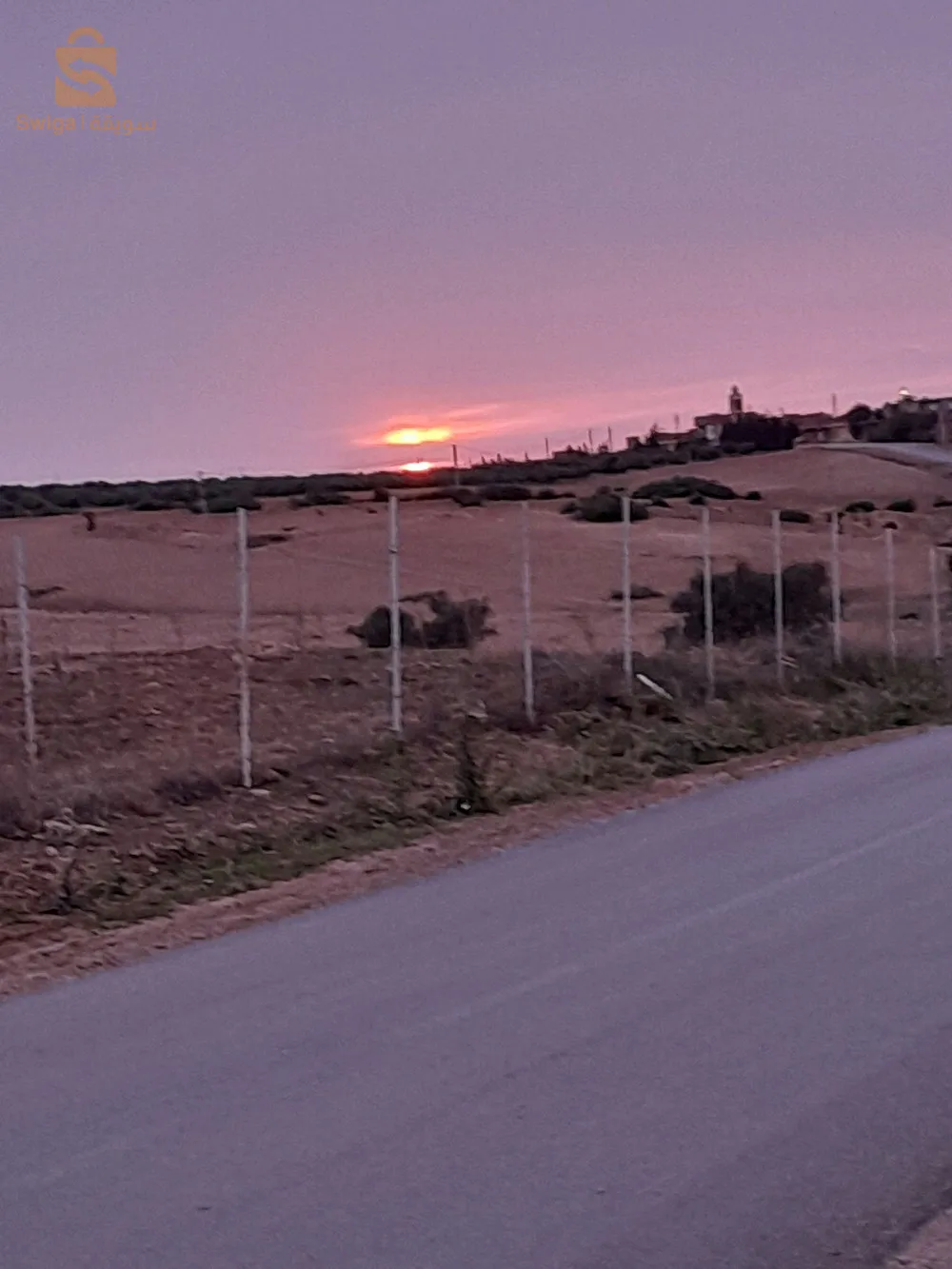 belgaid bir eljir oran