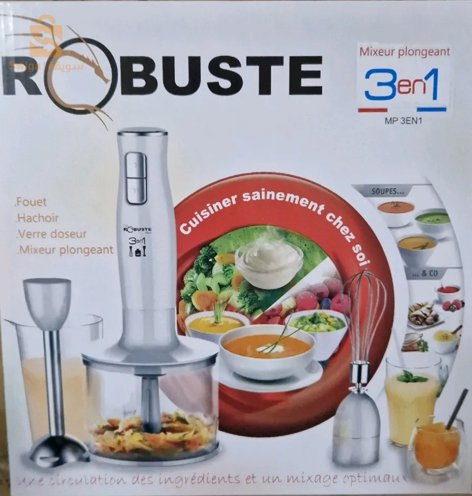 ROBUSTE Mixeur 3en1