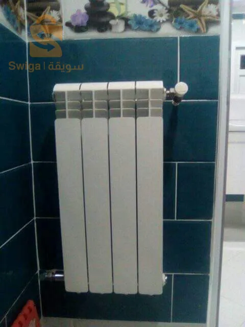 بلومبي شوفاجيست
