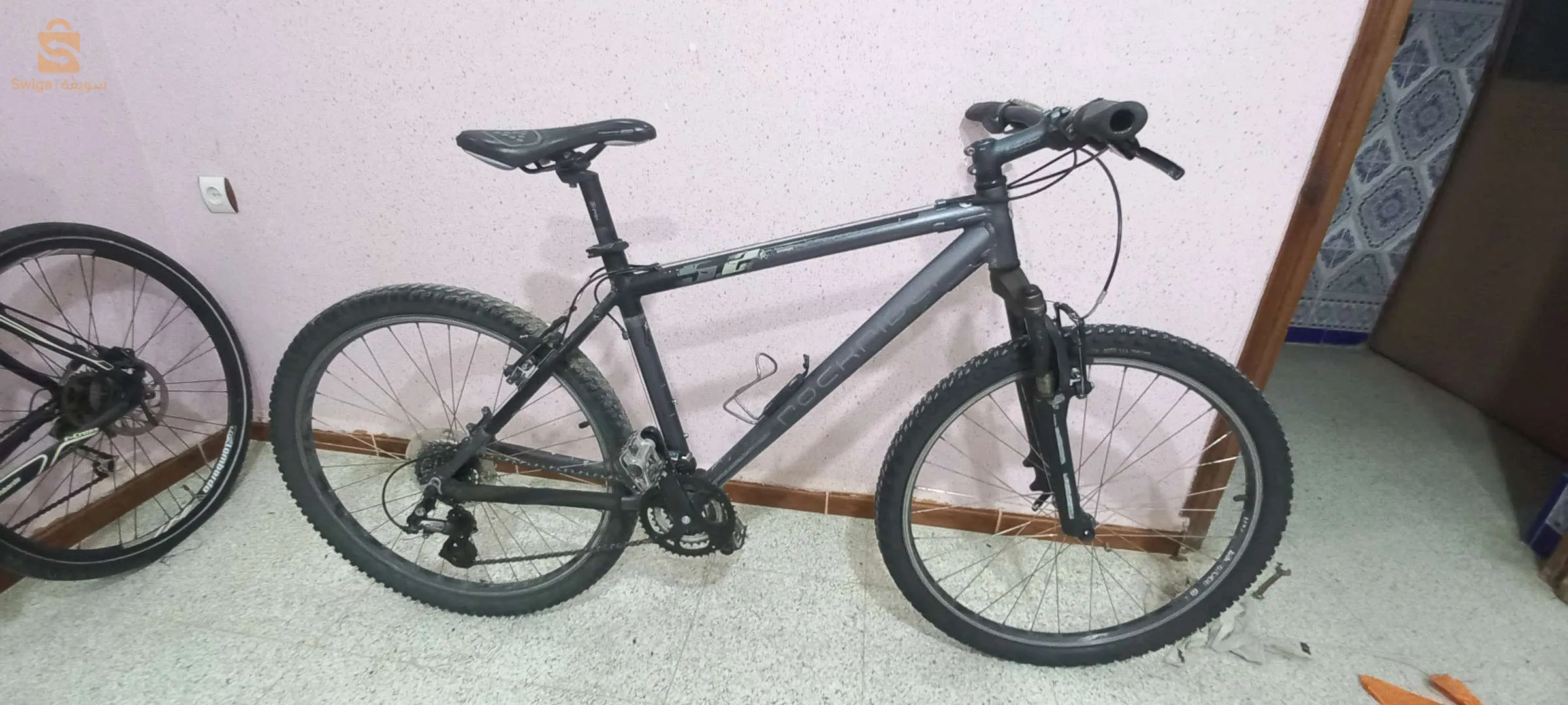 رحوية ولاية تيارت