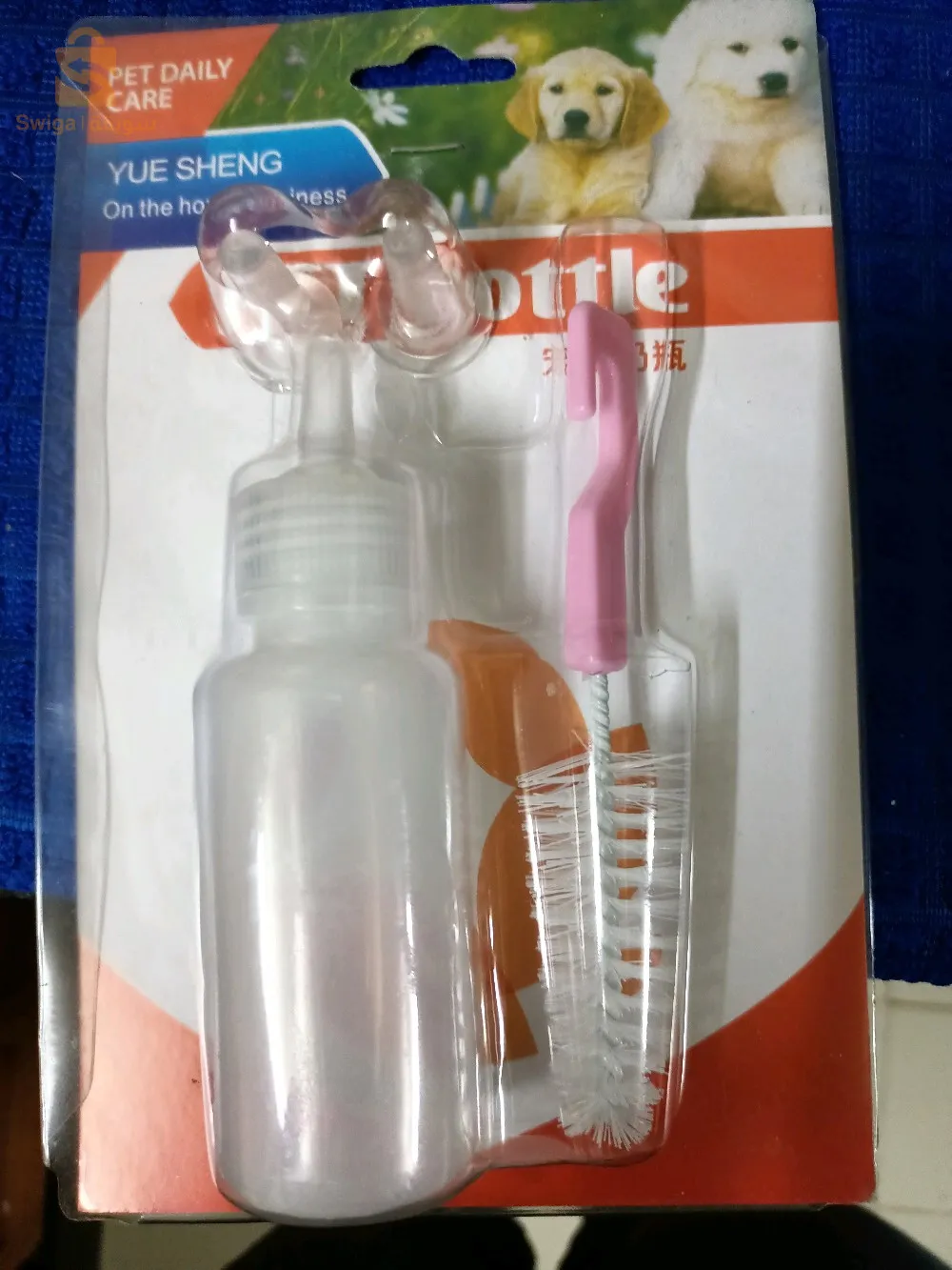 biberon pour chatons