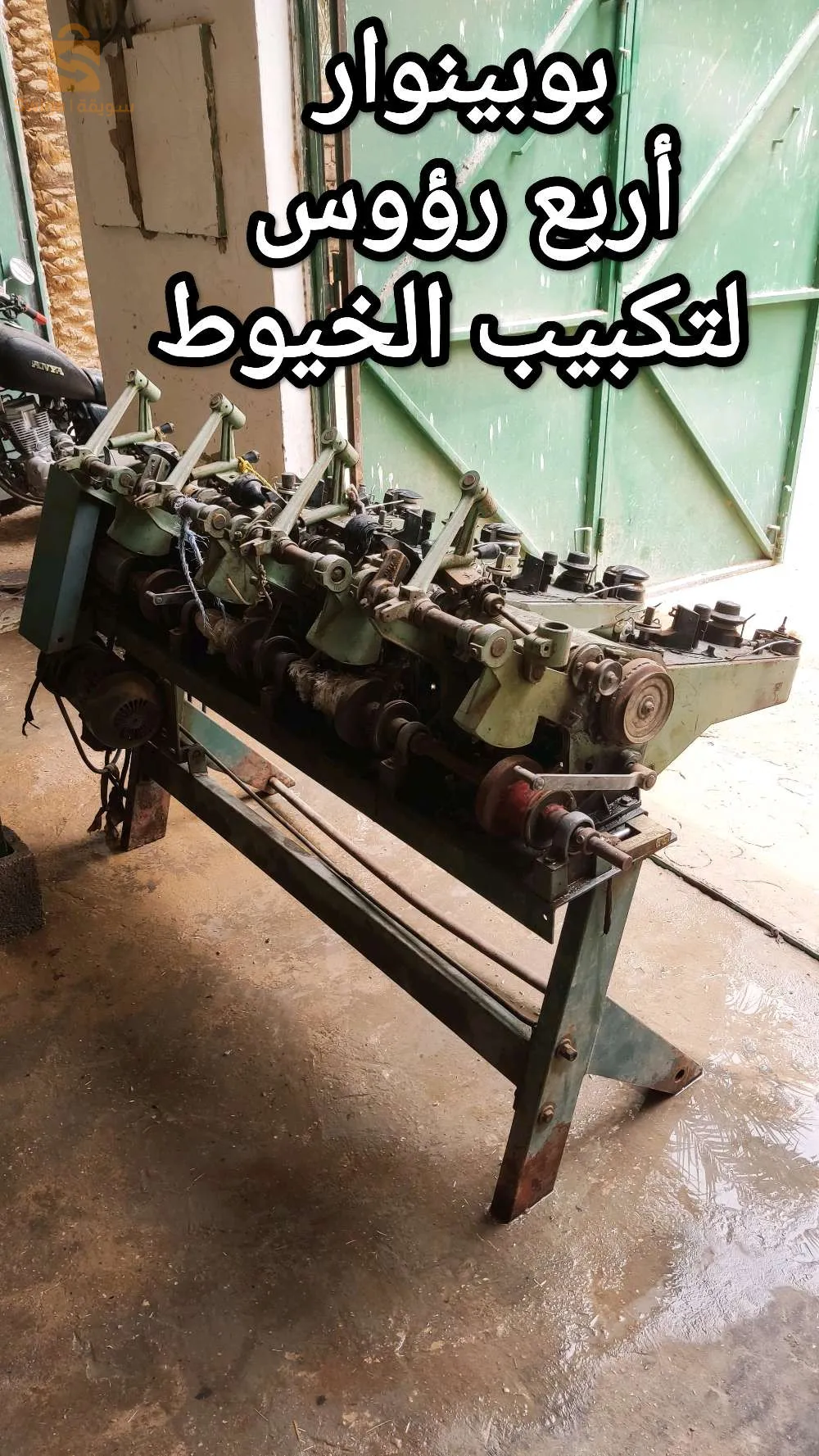 بلغنم غرداية