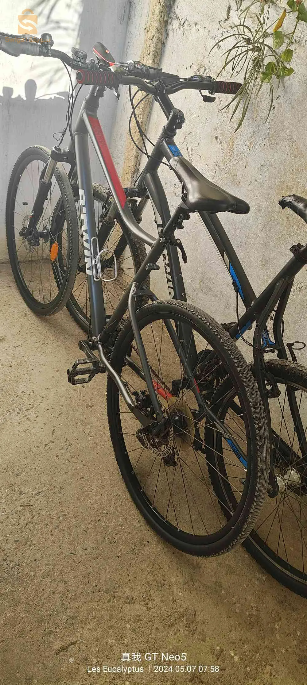 فيلو الله يبارك. حابة كابة