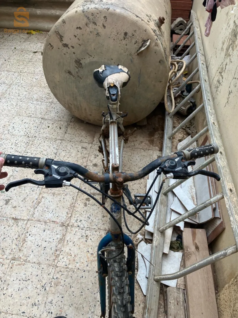 فيلوا