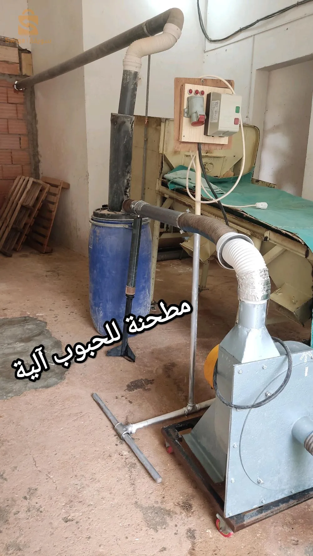 بلغنم غرداية