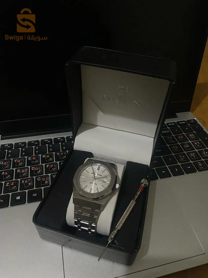 Didun Watch Designed in GermanyMechanic & WaterproofStainless Steel