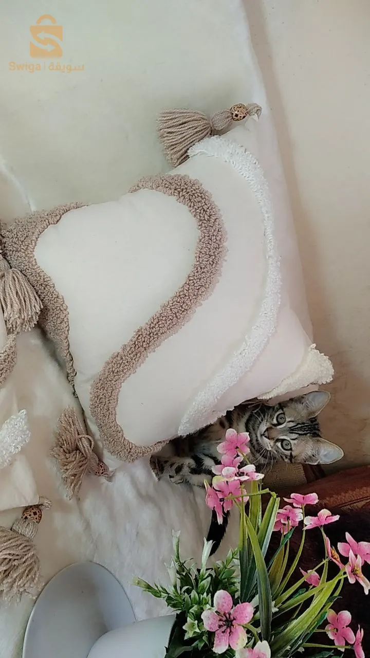 وسائد ديكور