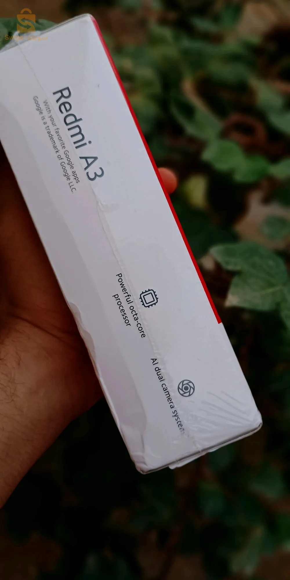 سيدي بسكرة