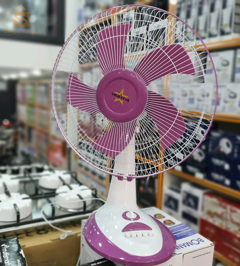 Rotatable desk fan