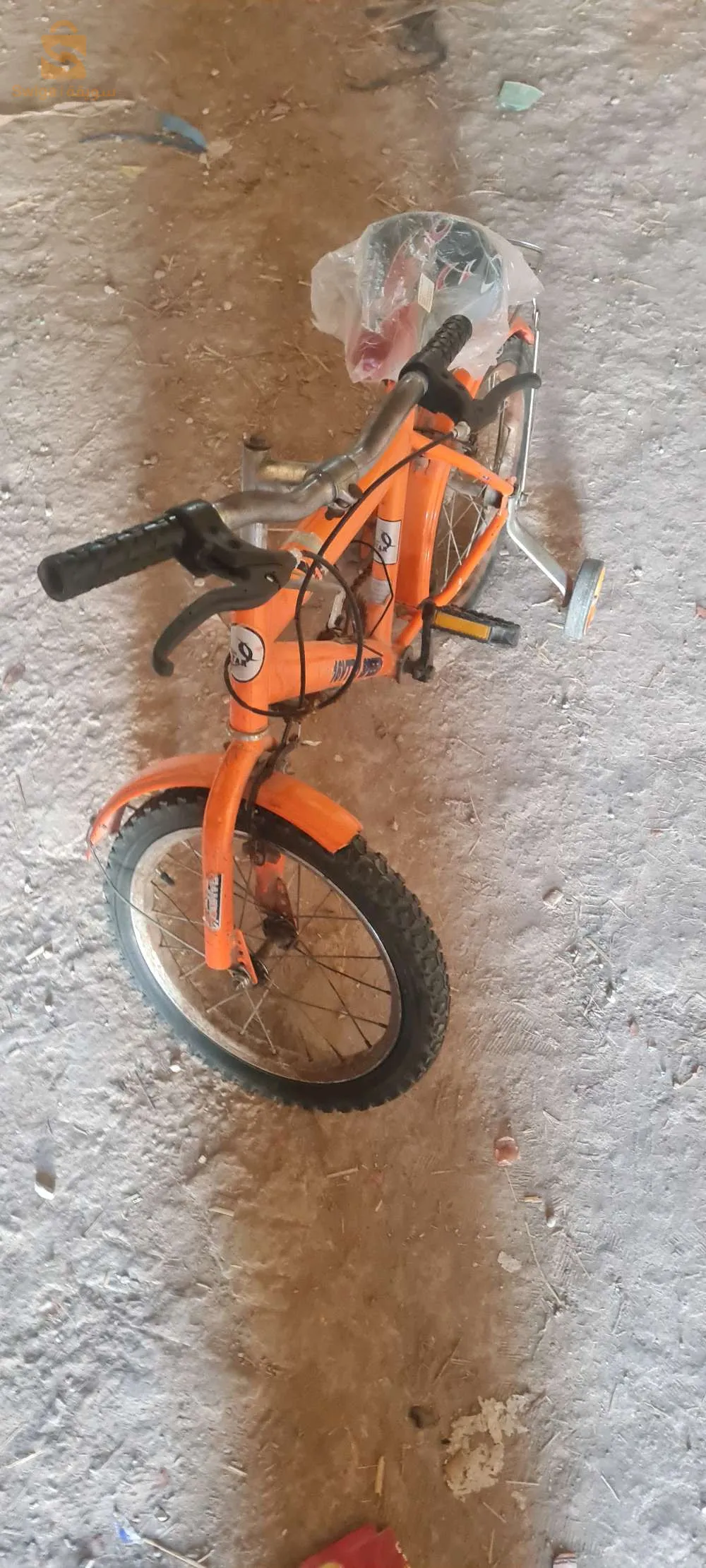 قش فرونسي