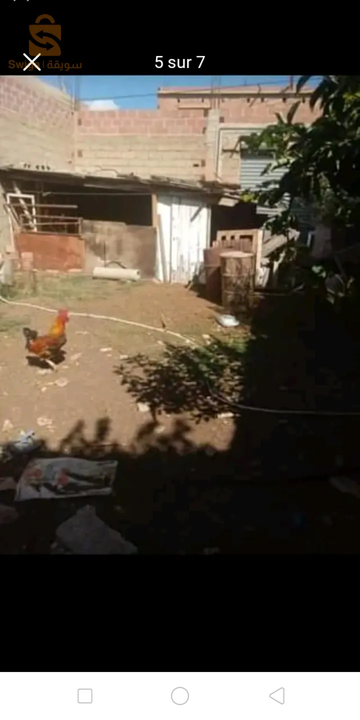 سيدي معنصر