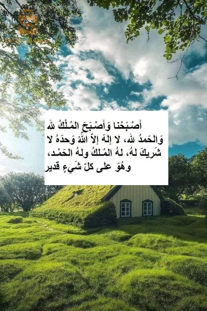 بالجملةBiC فيها 10 حبات  700ذجhommes rasoirs jetables 3 lame 1350ذج الكمية محدود  بلاد المنتج فرنسا