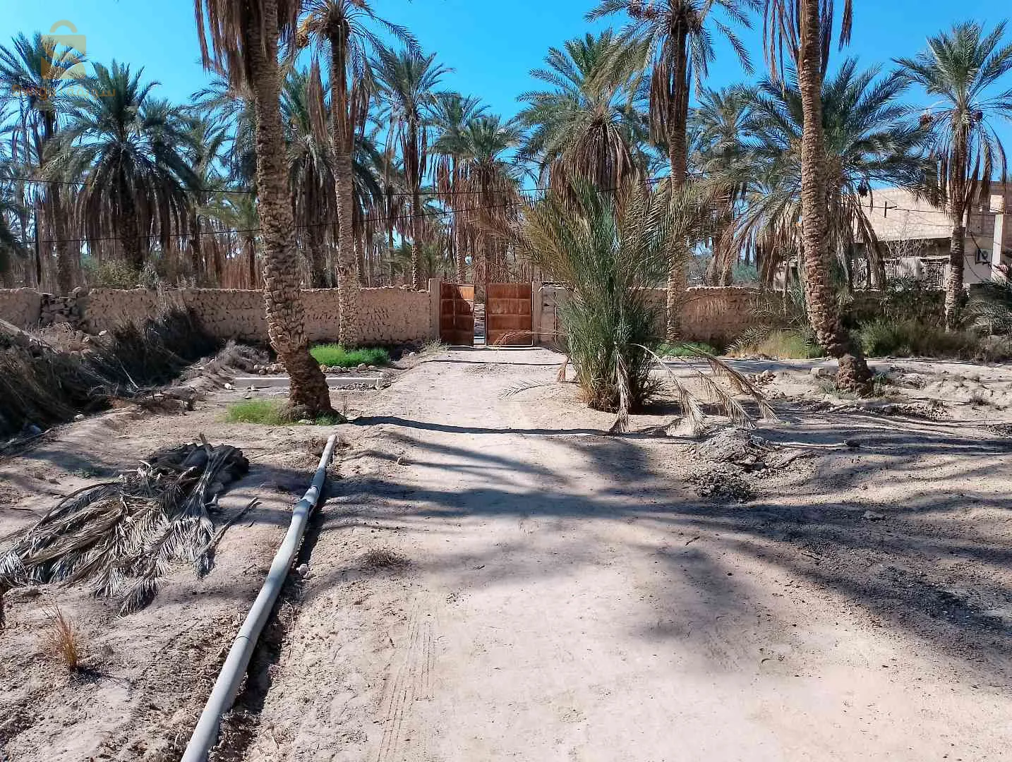 جنان  2200 متر زائد منزل 200 متر ماء غاز كهرباء و الصرف الصحي 15 نخلة دقلة نور +4مشدقلة +ذكار  عقد ملكية +دفتر العقاري