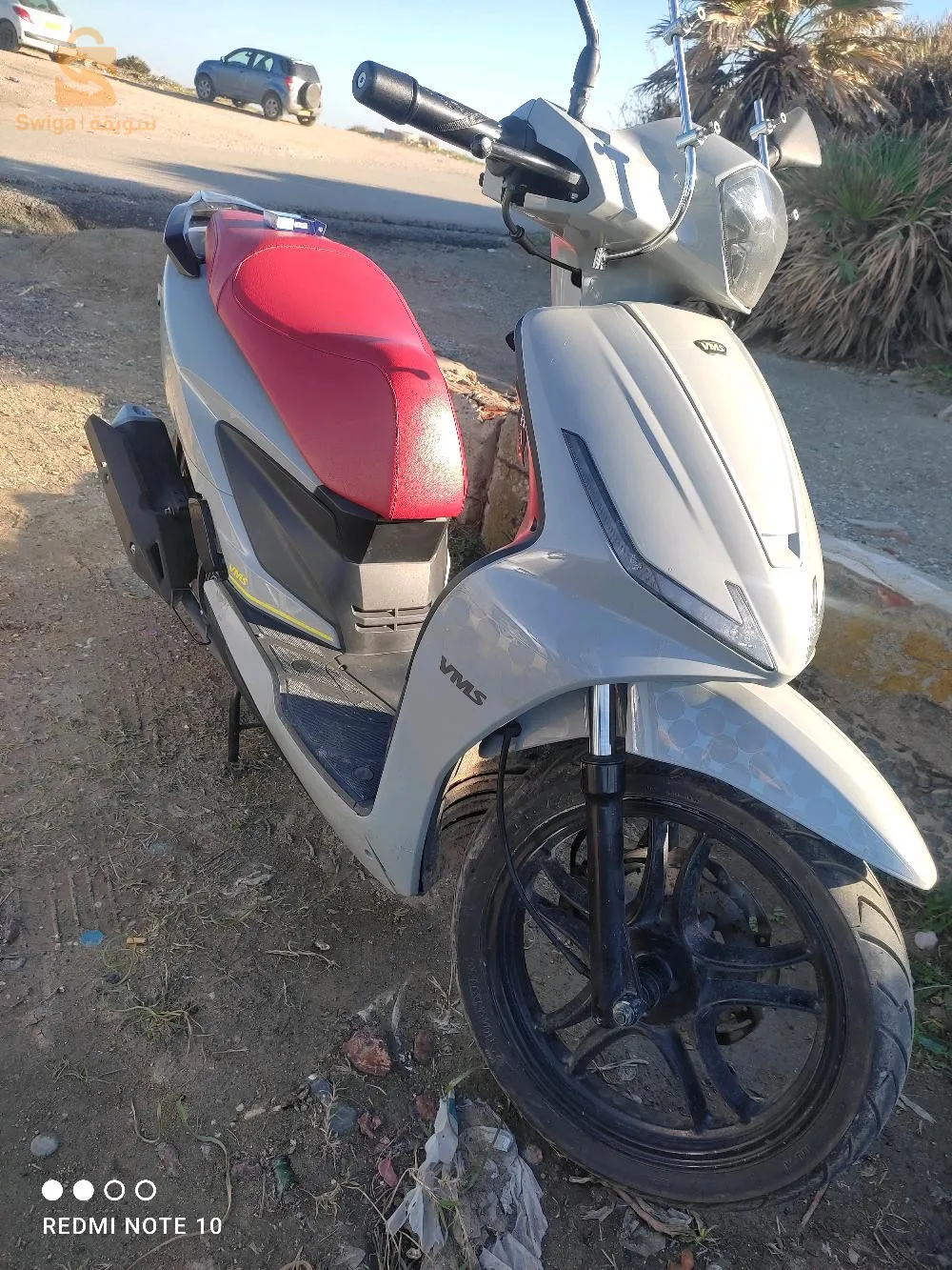 العصفور الطارف