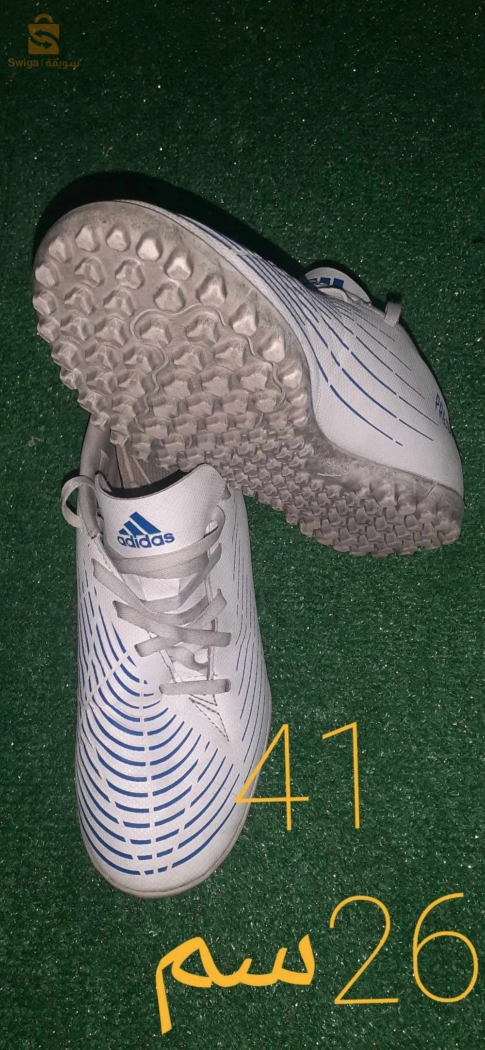 غليزان مازونة القطار