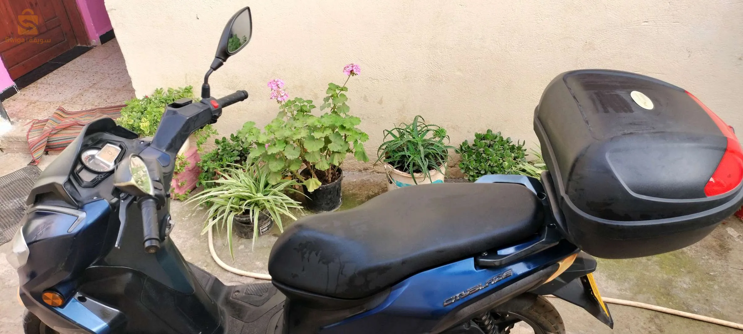 برج الكيفان الجزائر