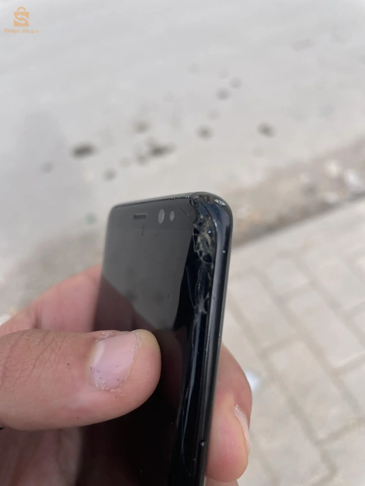 قسنطينة الخروب