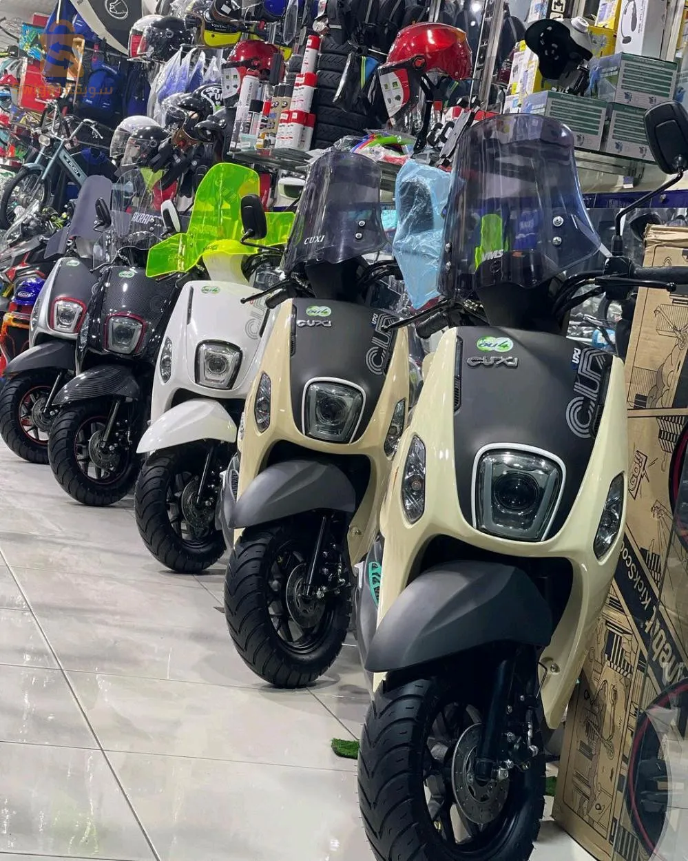 جلفة عين وسارة