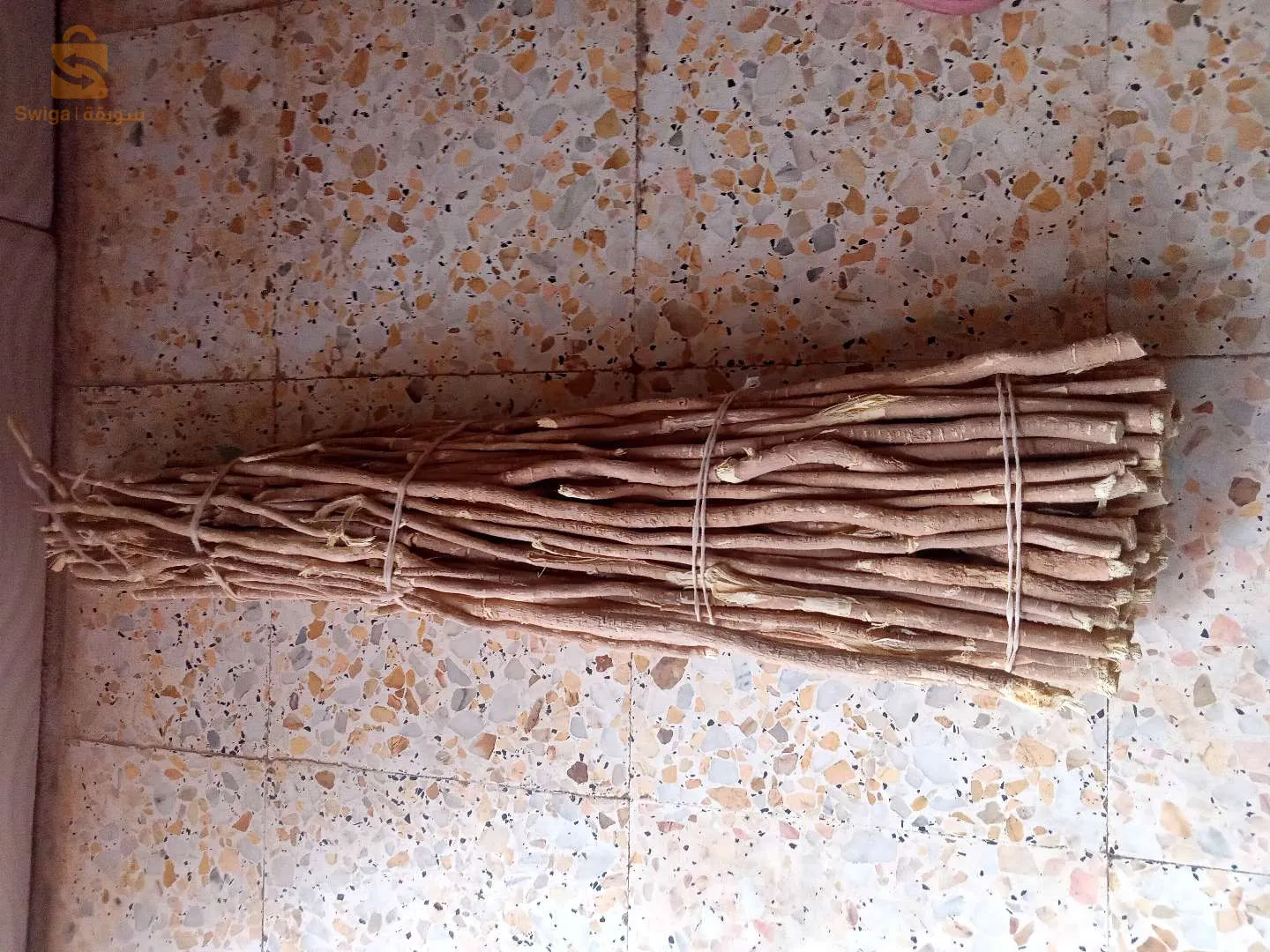 سواك طبيعي دولة النيجر