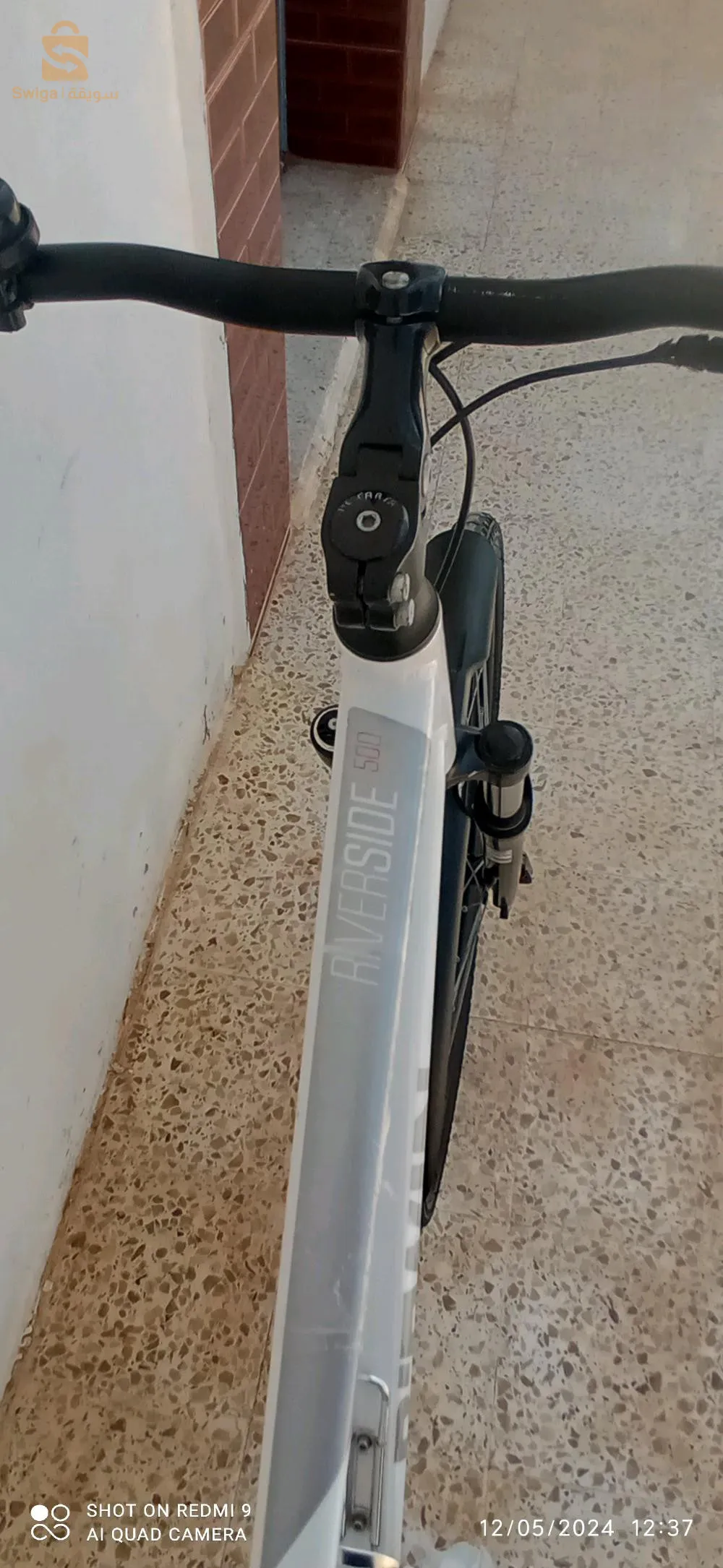 شلف