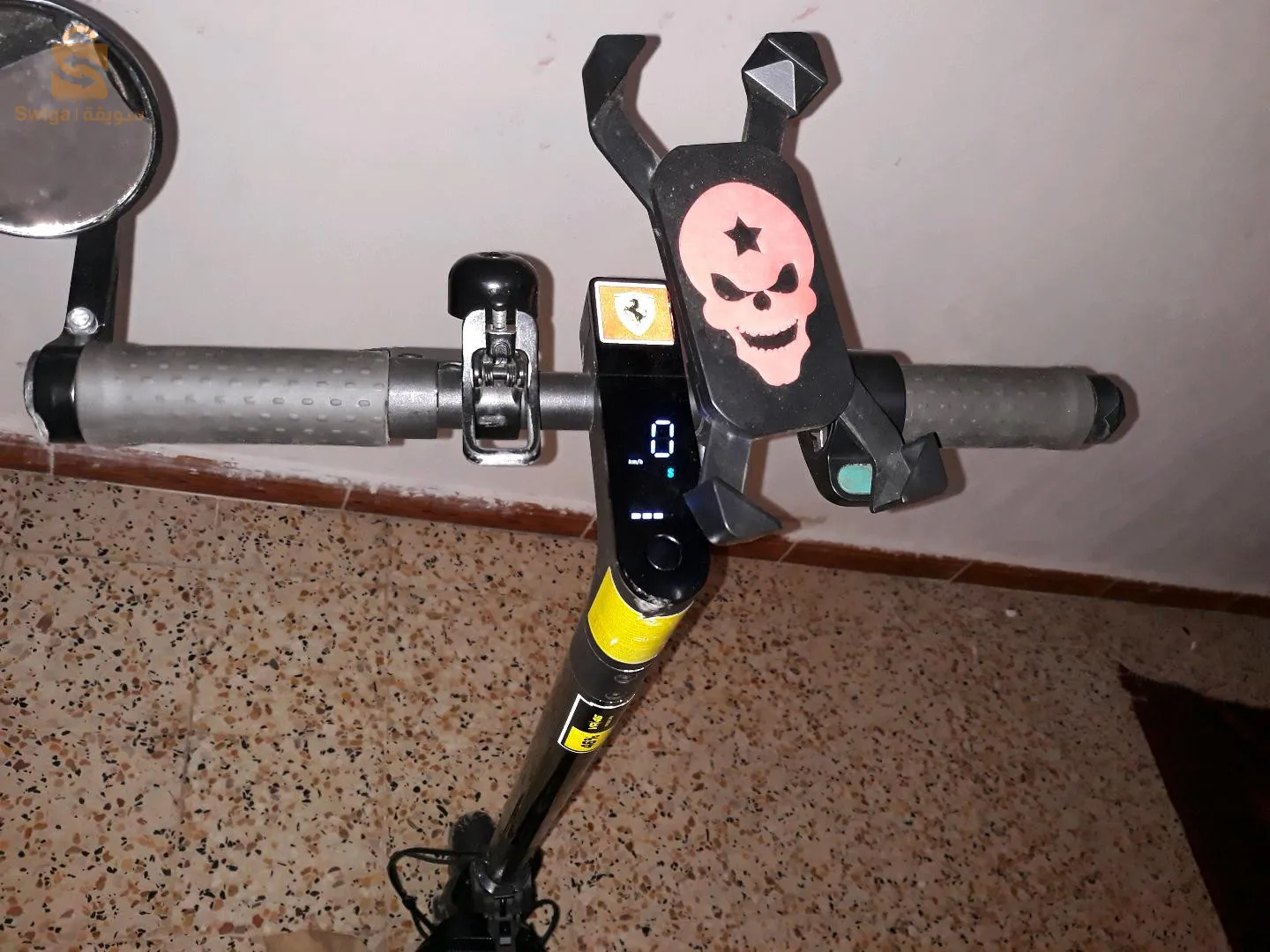 تروتينات bnz