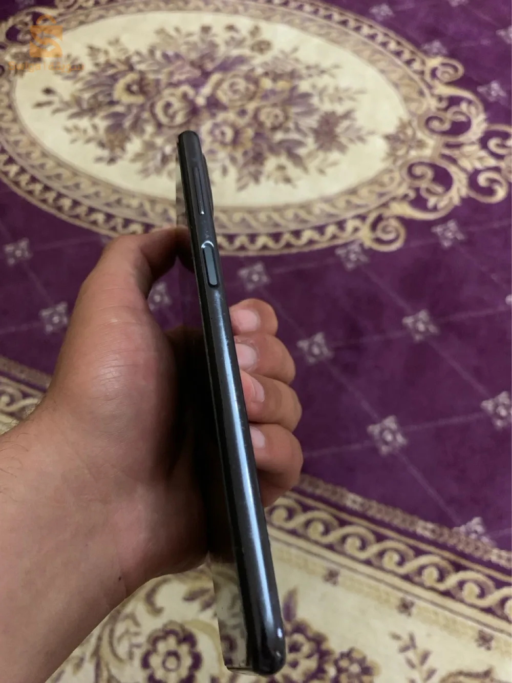 المدية