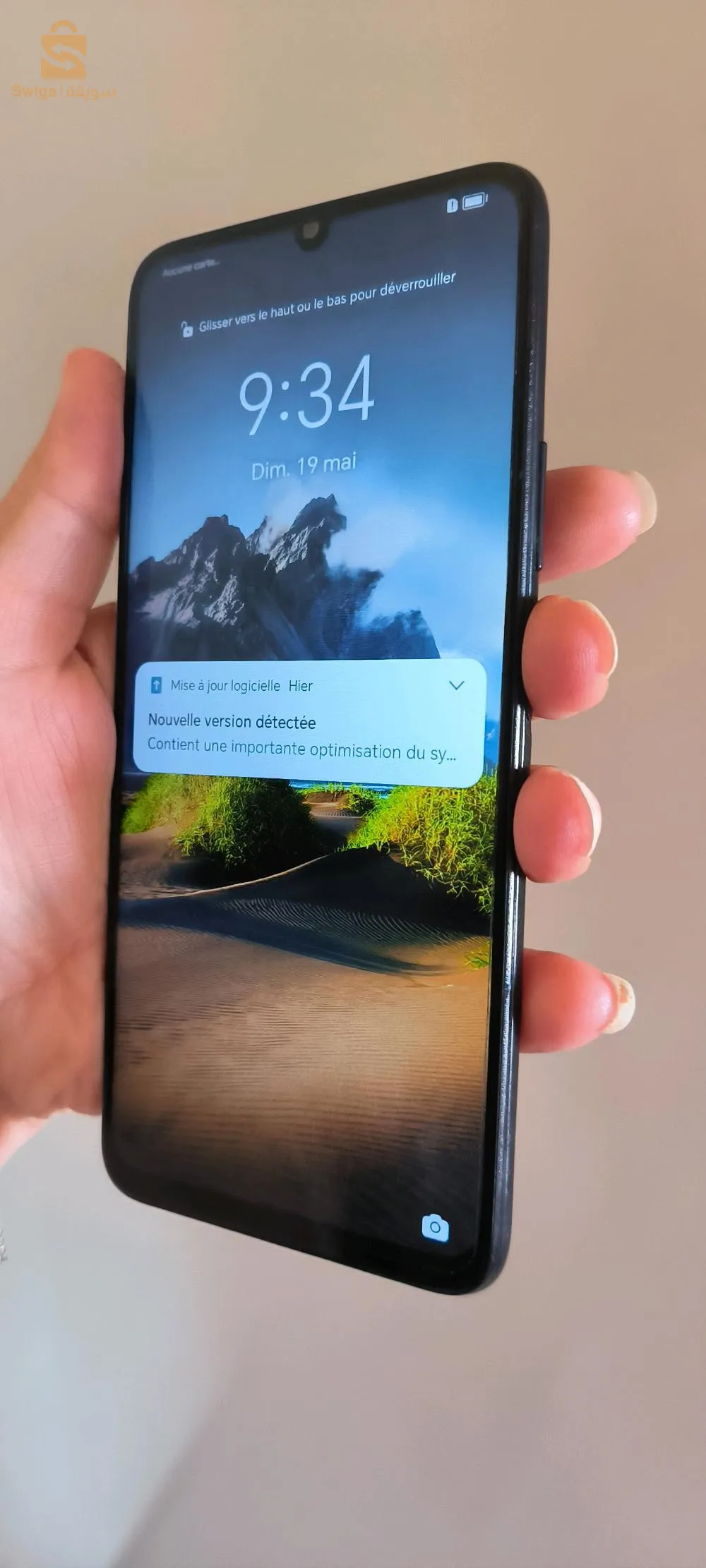 شلف سونطر فيل