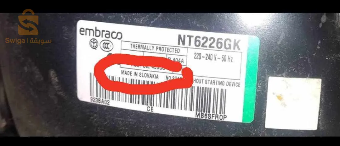 ماوسى معسكر