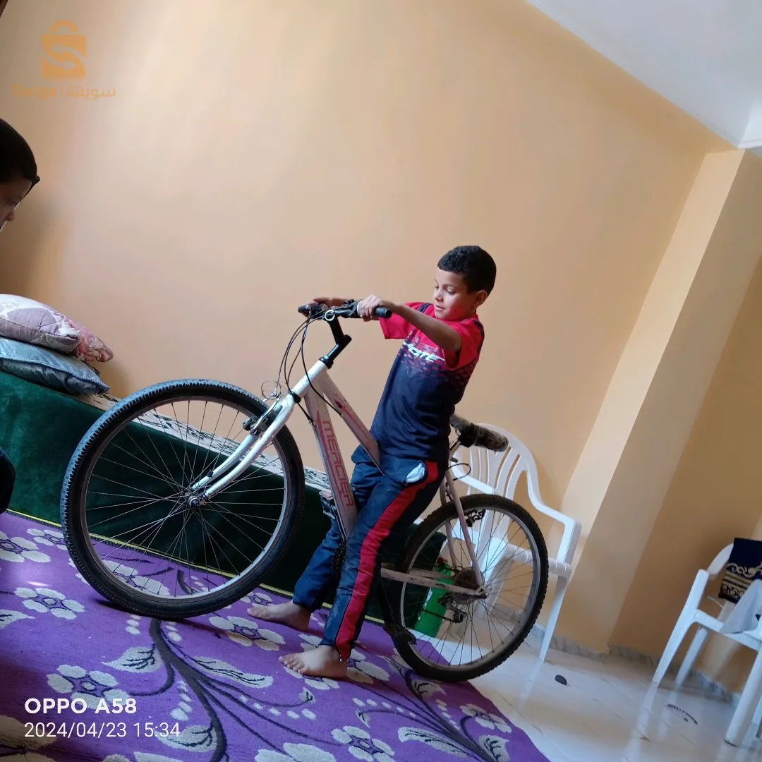 حسيان الطوال بن فريحة وهران