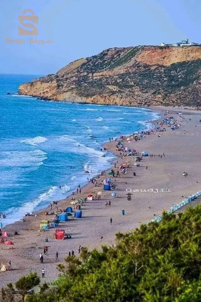 عشعاشة مستغانم