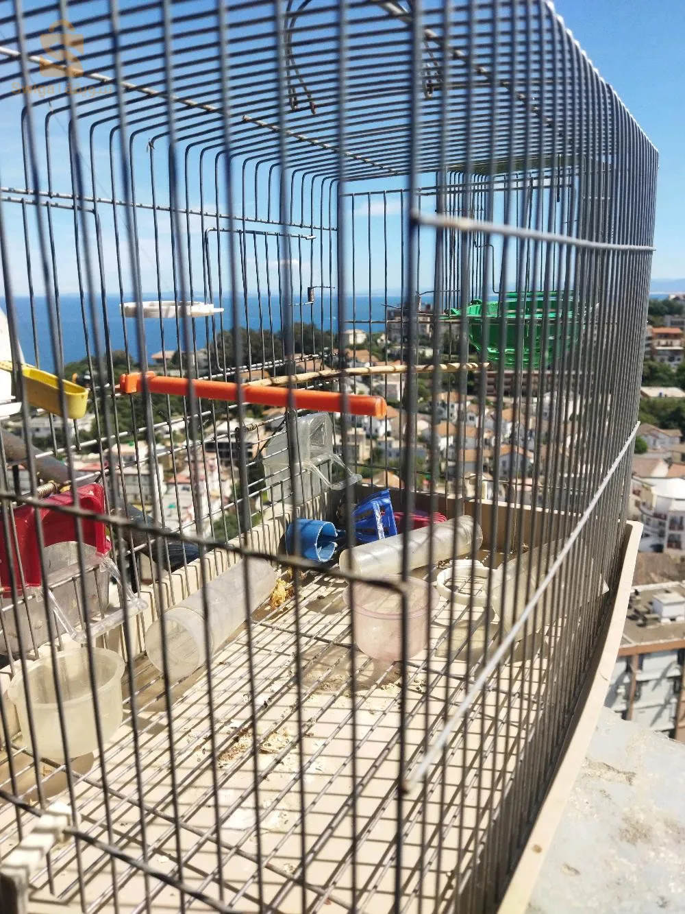 قفص واكسسوارات