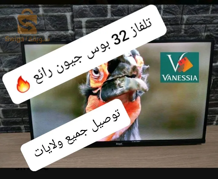 تلفزيون جيون 32