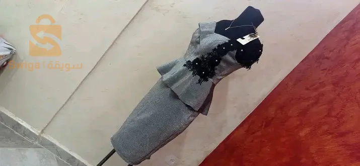 الاخضرية ولاية البويرة