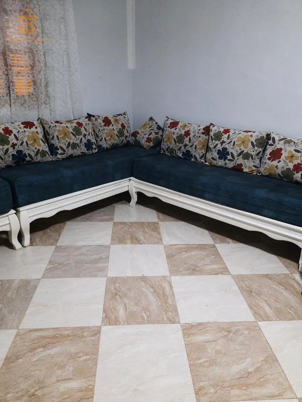 تفريشات مع مخايد