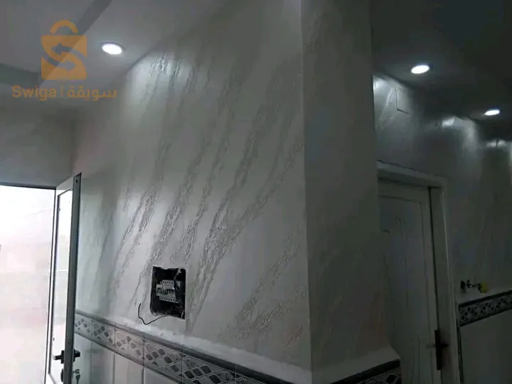 دهن البيوت ديكورات عصرية (ساتيني +ديكور)