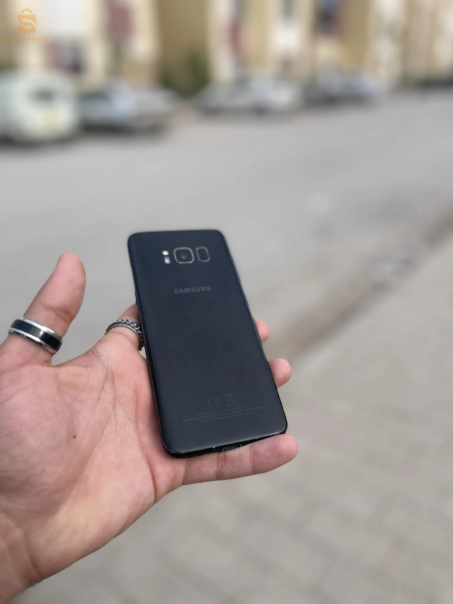 قسنطينة الخروب