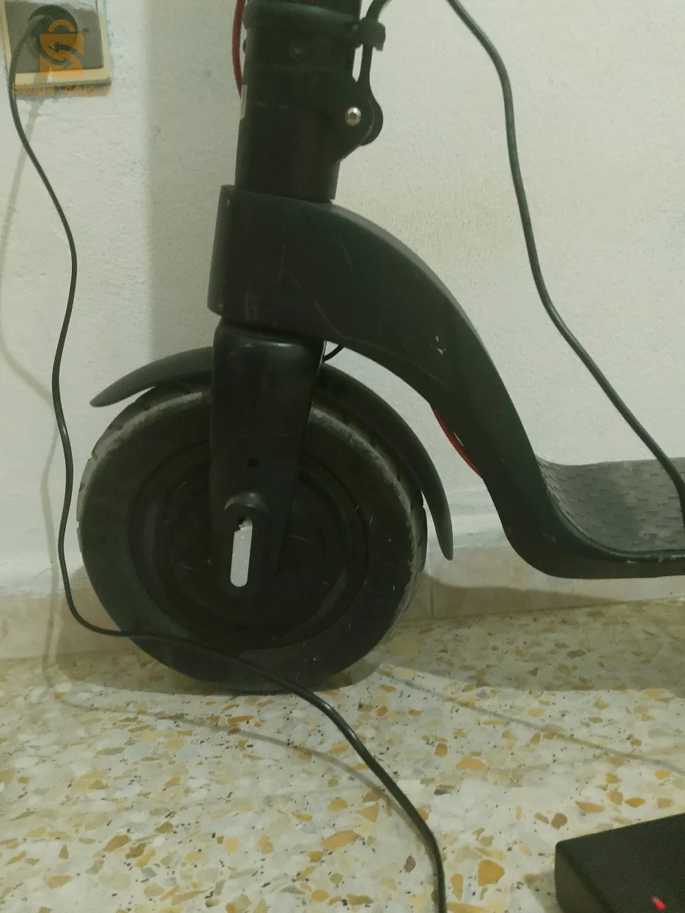 ام بواقي