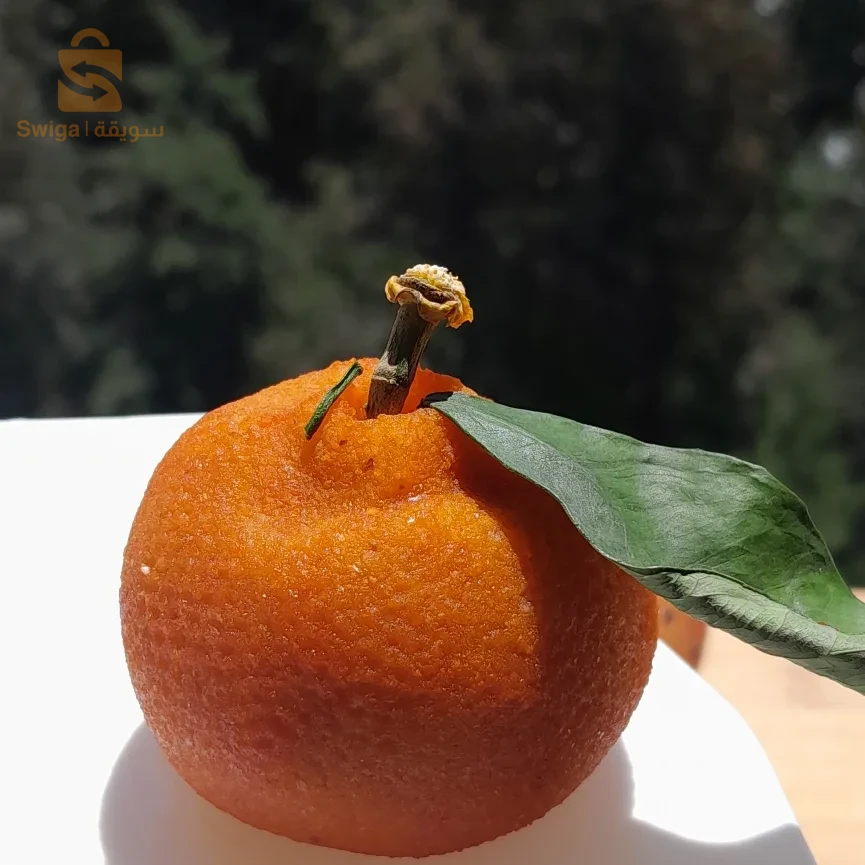 حلويات ومملحات شايب