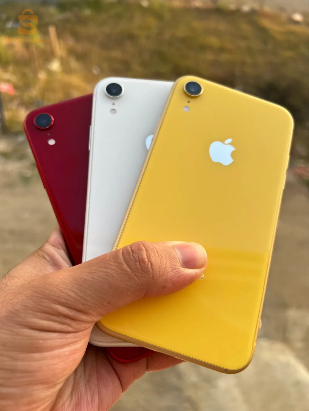 iPhone xr