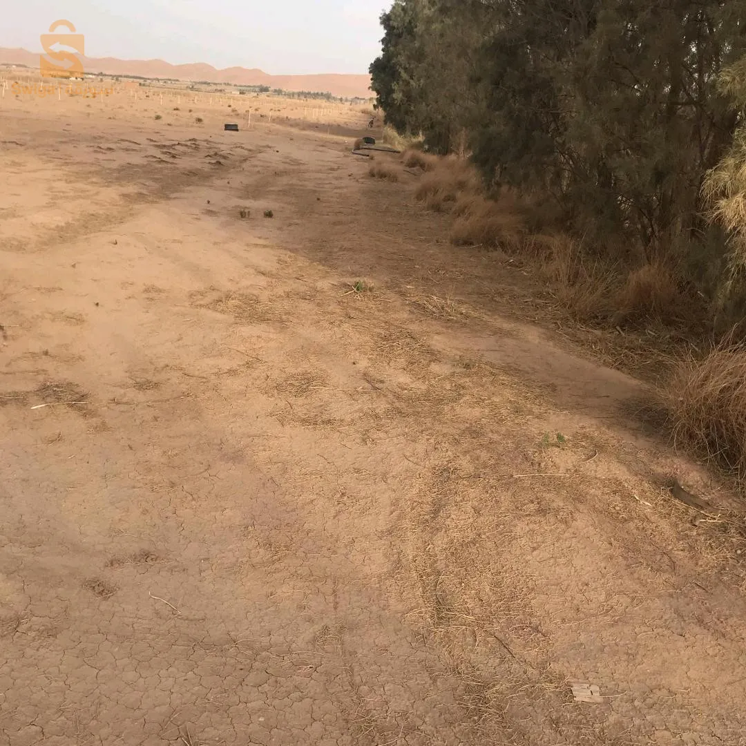 مزرعه فلاحية متواجدة خلف الحديقة النباتية المريقة الاغواط