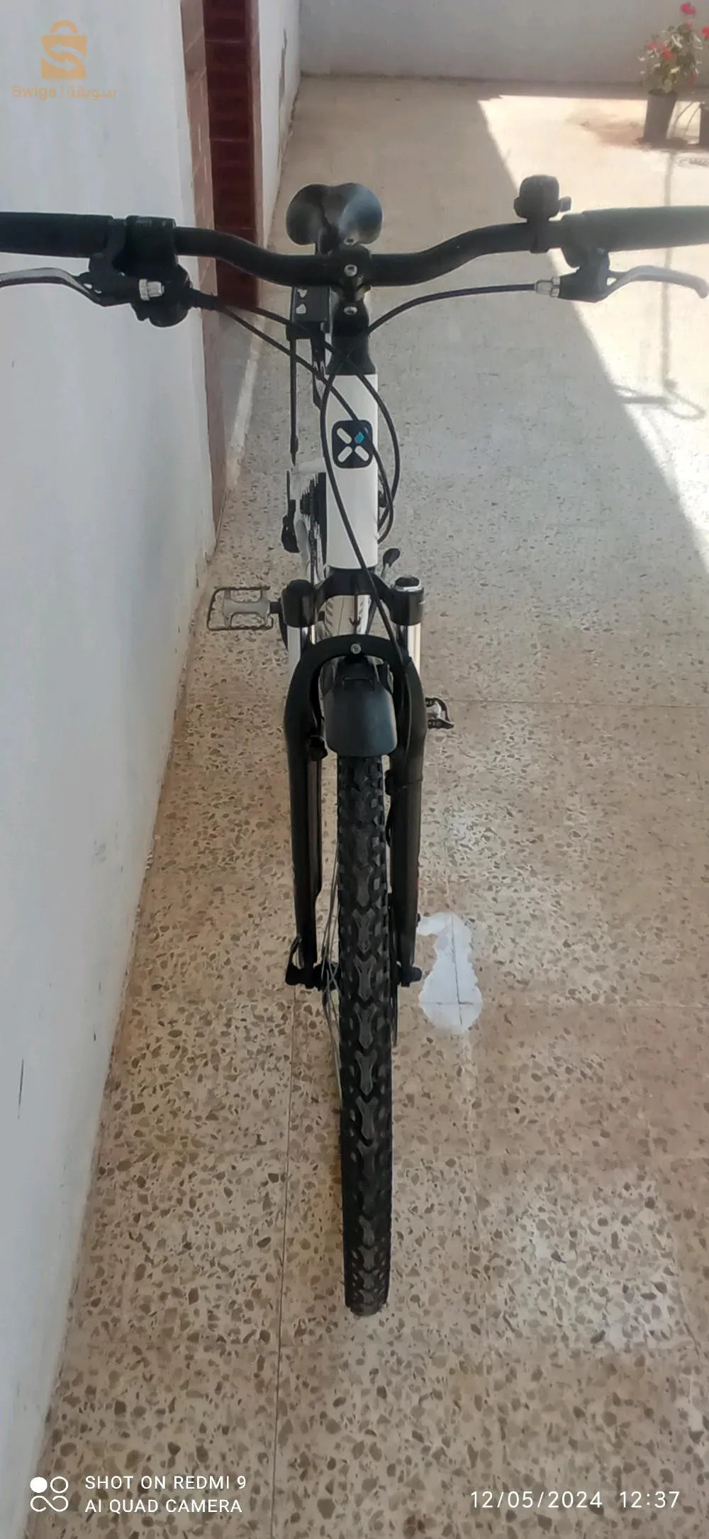شلف